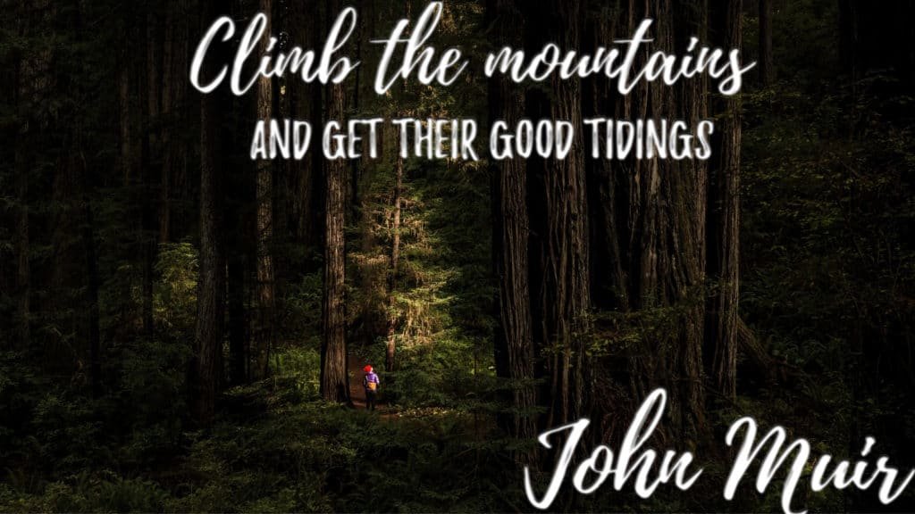 dylans-tours-john-muir-quotes-3-muir-woods-tours-muir-woods-tour-san-francisco-tours-san-francisco-tour-sf-tours-sf-tour--1024x576 "climb the mountains and get their good tidings" john muir quote