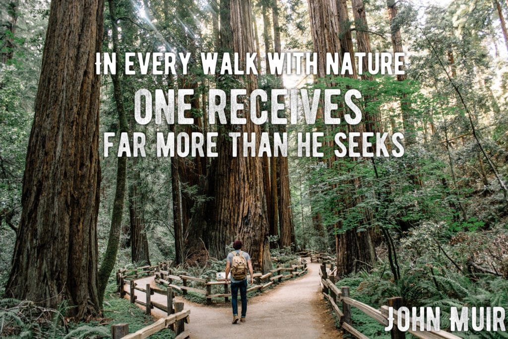 dylans-tours-john-muir-quotes-4-muir-woods-tours-muir-woods-tour-san-francisco-tours-san-francisco-tour-sf-tours-sf-tour--1024x683 "in every walk with nature one receives far more than he seeks" john muir quote