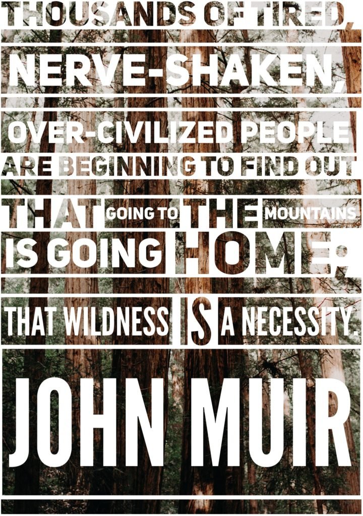 dylans-tours-john-muir-quotes-5-muir-woods-tours-muir-woods-tour-san-francisco-tours-san-francisco-tour-sf-tours-sf-tour--720x1024 stylized john muir quote in white text