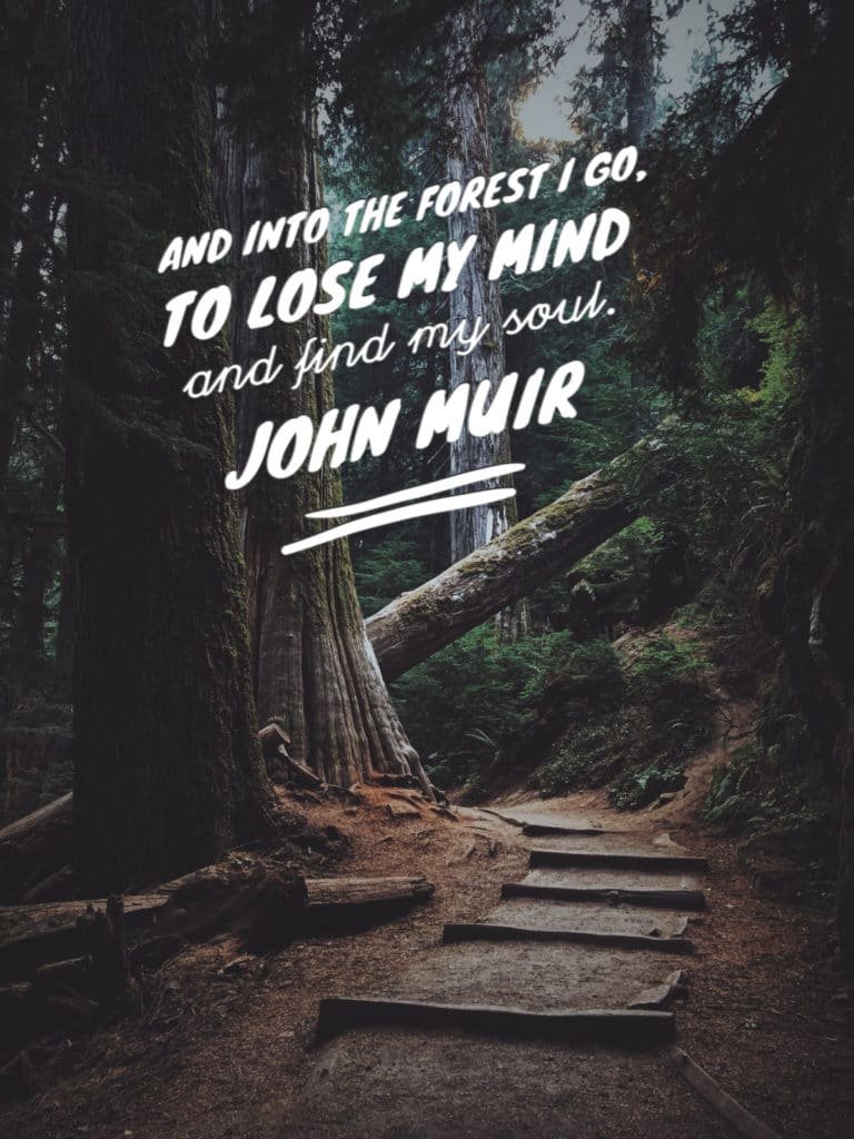 dylans-tours-john-muir-quotes-8-muir-woods-tours-muir-woods-tour-san-francisco-tours-san-francisco-tour-sf-tours-sf-tour-.jpg-768x1024 "and into the forest i go, to lose my mind and find my soul" john muir quote