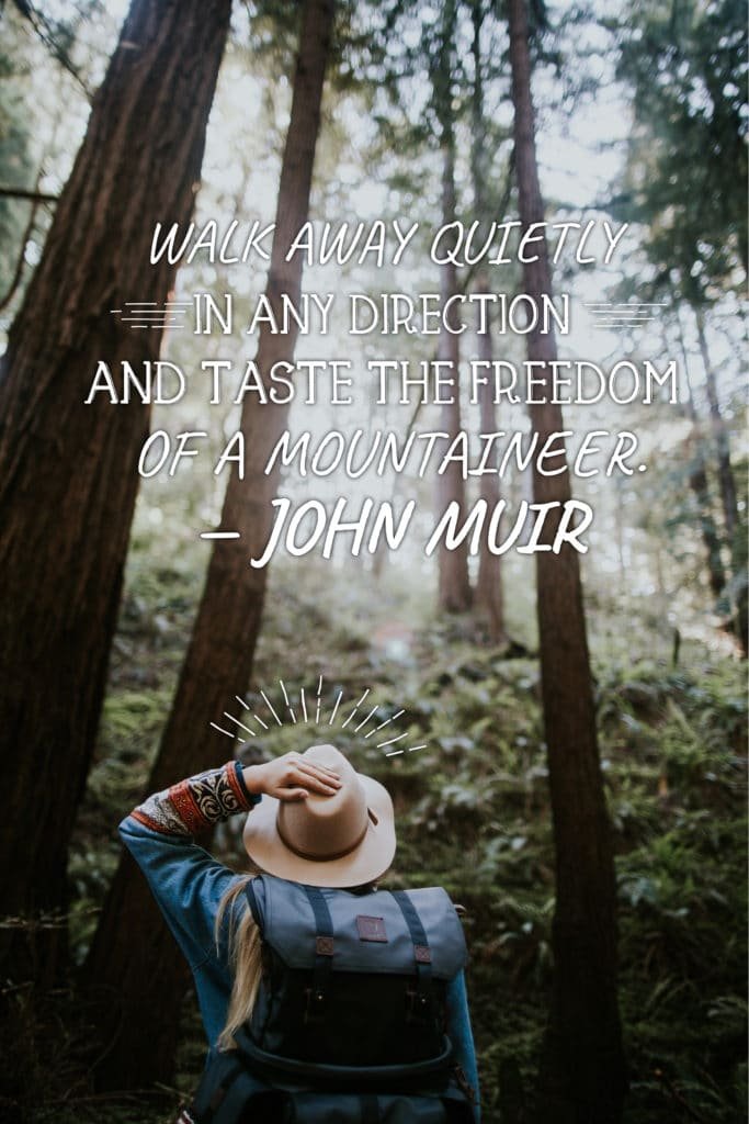 dylans-tours-john-muir-quotes-9-muir-woods-tours-muir-woods-tour-san-francisco-tours-san-francisco-tour-sf-tours-sf-tour-.jpg-683x1024 "walk away quietly in any direction and taste the freedom of a mountaineer" john muir quote