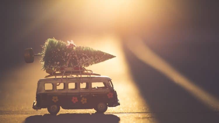 How to Spend Christmas in San Francisco