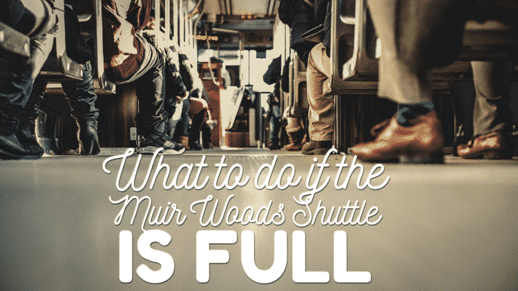 What to do if the Muir Woods Shuttle is Full