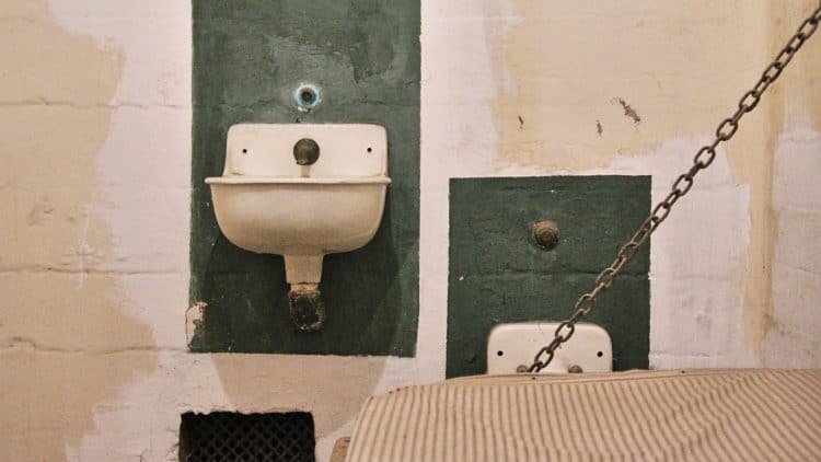 Alcatraz Night Tour vs Alcatraz Day Tour