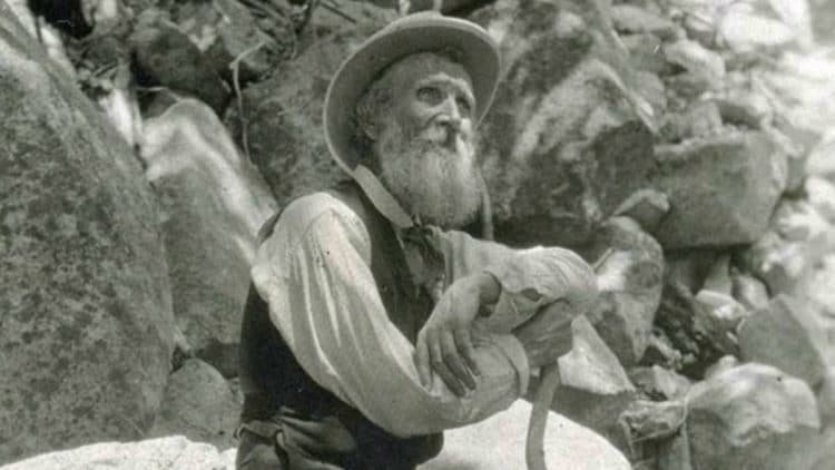10 John Muir Quotes to Inspire You to Take a Muir Woods Tour