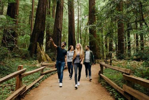 Best Muir Woods Tours