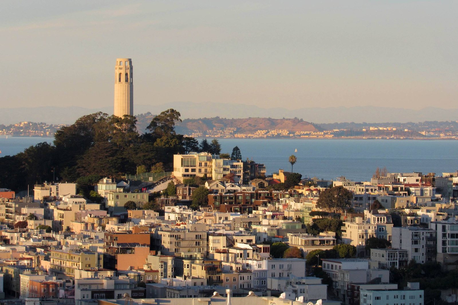 evening light over coit tower