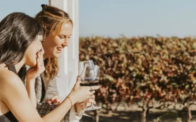 The Ultimate Guide to Napa Valley Wine Tasting
