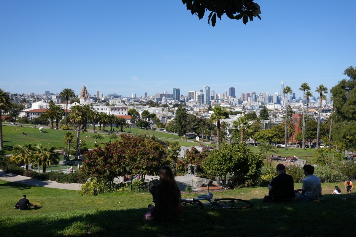 Panoramic view of San Francisco downtown skyline from grassy hill with palm trees and people relaxing