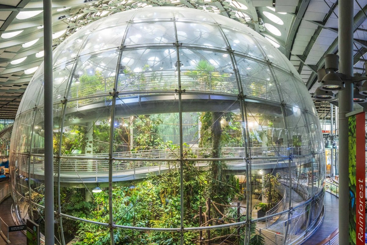 Biodome Rainforest Conservatory in Modern Architectural Structure
