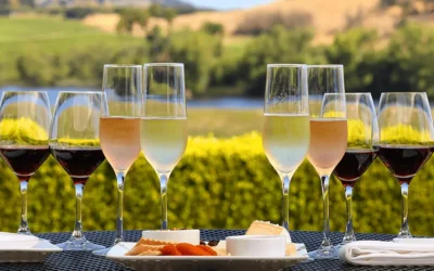 Napa Valley Food and Wine Pairing: An Iconic Napa Valley Experience