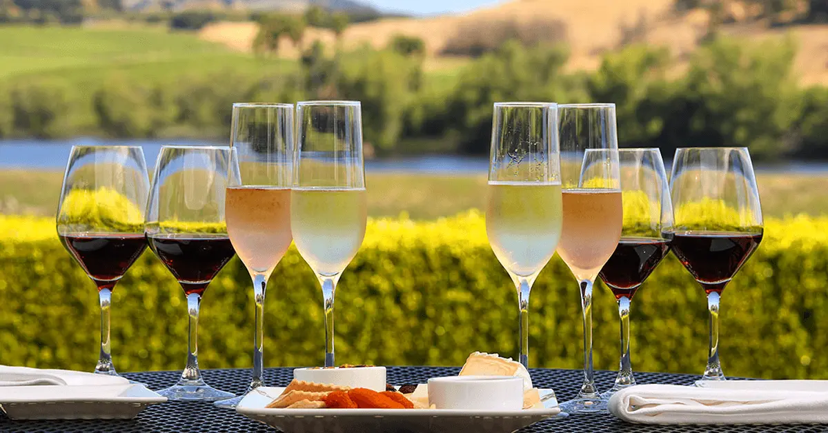 A Bunch of Wine and Napa View A collection of wine bottles with a scenic view of Napa Valley in the background.