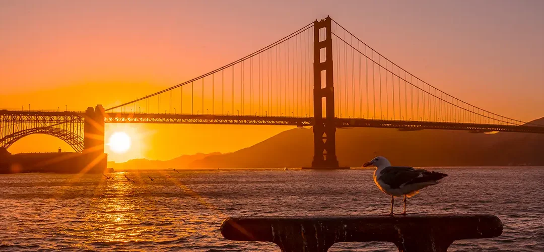 The Best San Francisco Shore Excursions: What to See and How to Do It Right