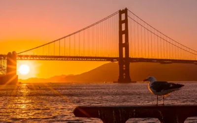 The Best San Francisco Shore Excursions: What to See and How to Do It Right