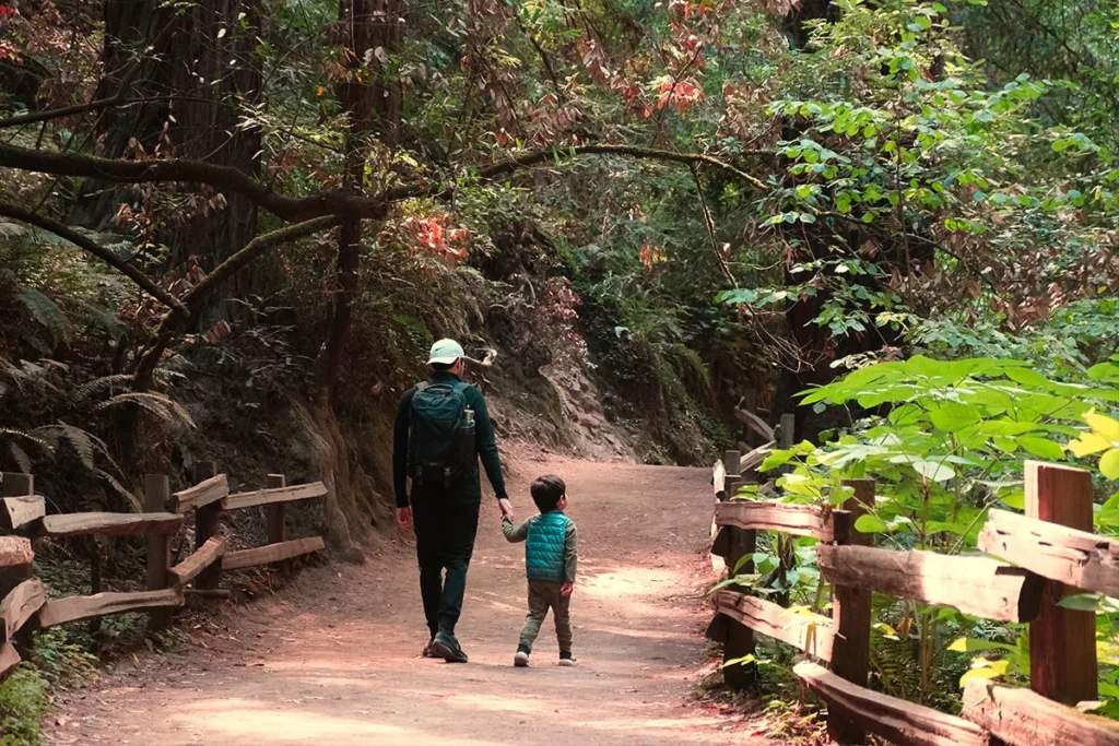 Father and young son walking together on a forest trail in Muir Woods surrounded by redwoods