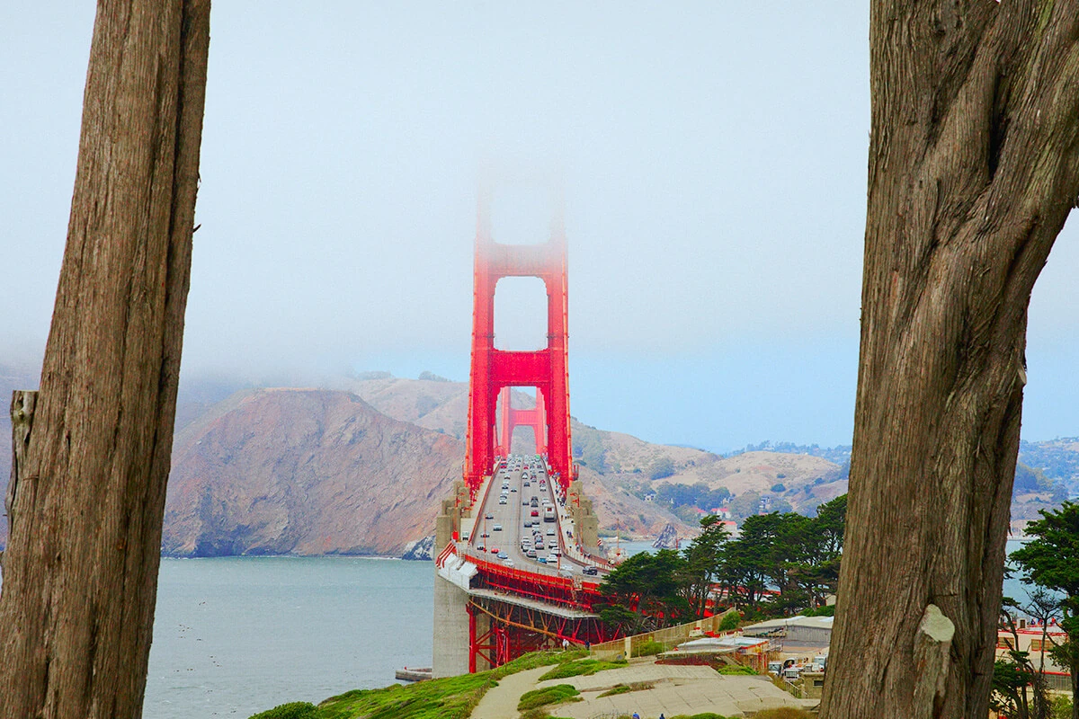 Golden Gate Bridge partly covered in fog, framed by tall trees in San Francisco.