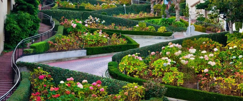 Lombard Street's iconic terraced rose gardens SF tour