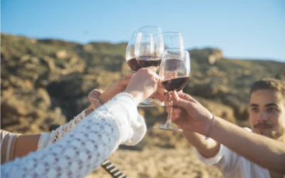 Everything To Know Before Planning a Large Group Wine Tour