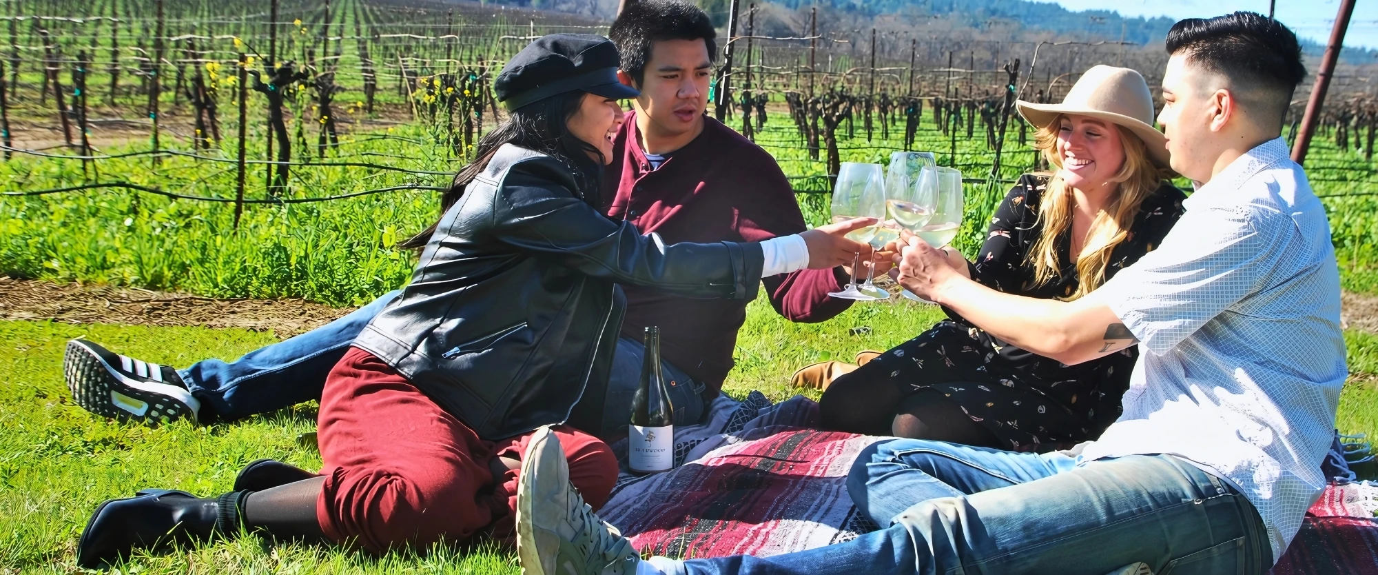 Vineyard picnic wine tasting Dylan's Tours couples