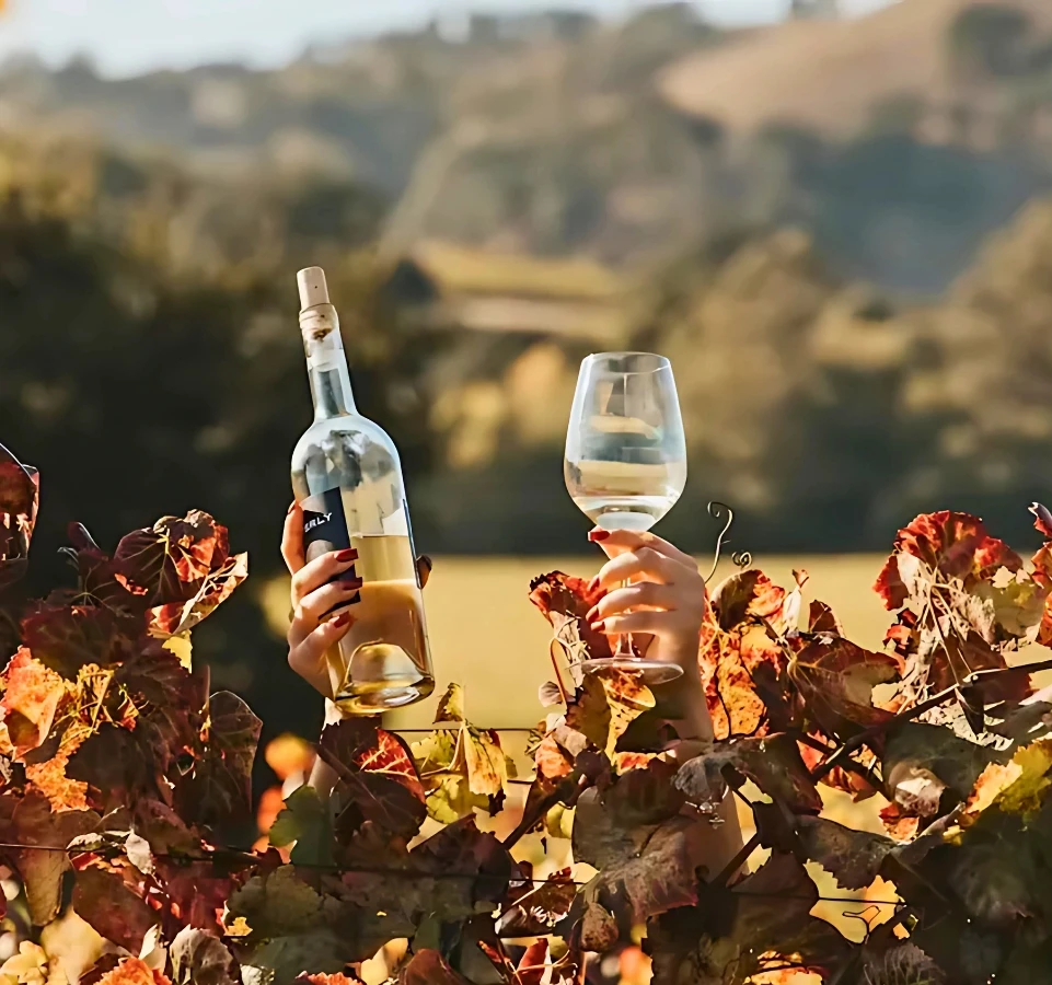 Autumn vineyard wine tasting Dylan's Tours Napa