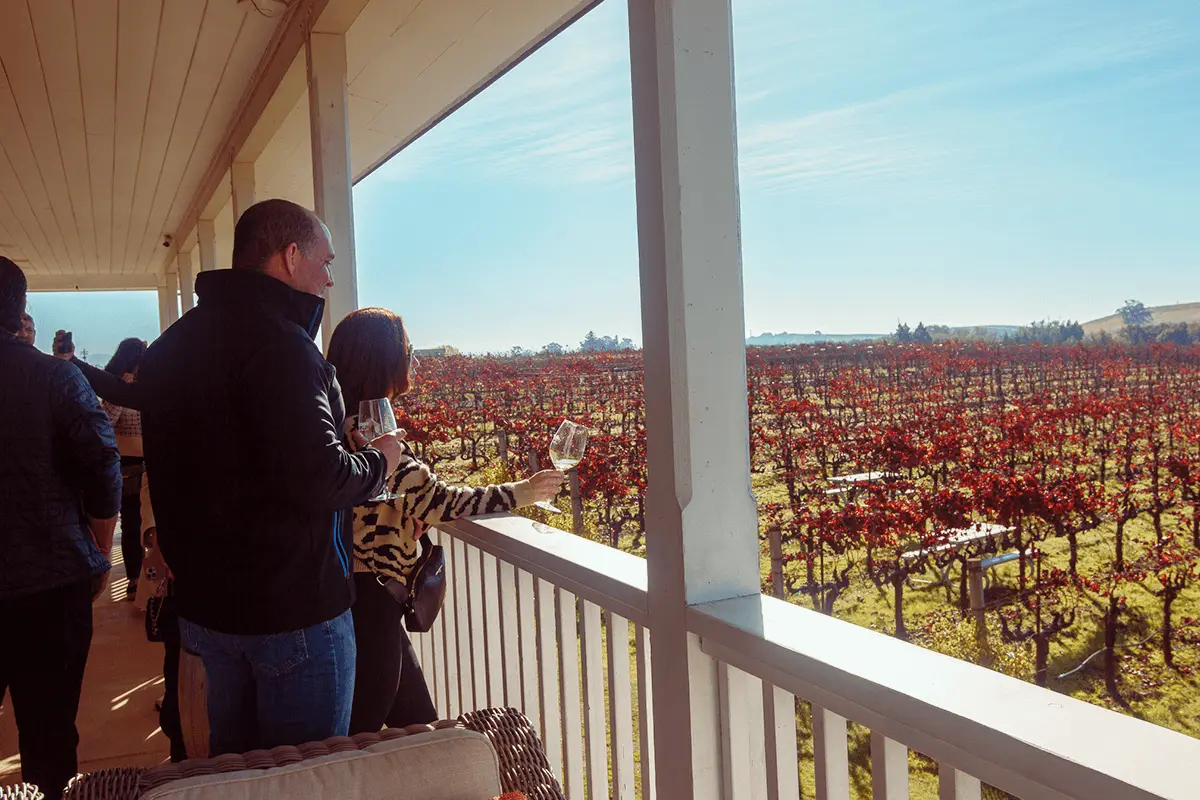 People standing on a balcony holding wine glasses, overlooking a vineyard with rows of red-leaved grapevines under a clear blue sky.