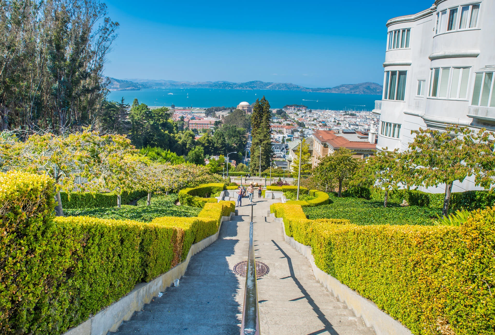 Looking down the Lyon Street Steps in Pacific Heights, bordered by trimmed hedges, with people on the stairs and the Palace of Fine Arts and San Francisco Bay in the distance.