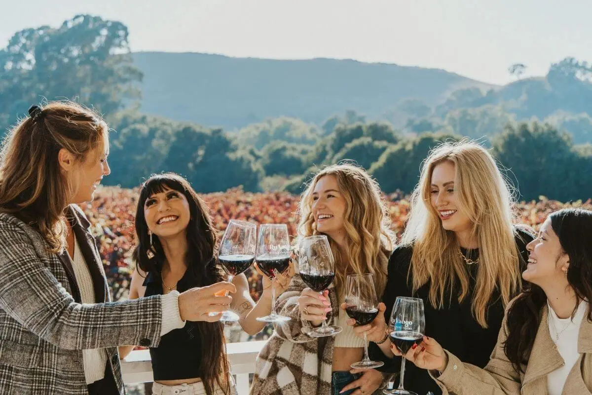 A group of five women smiling and clinking glasses of red wine together outdoors at a vineyard, surrounded by autumn-colored vines with mountains in the background under clear daylight.