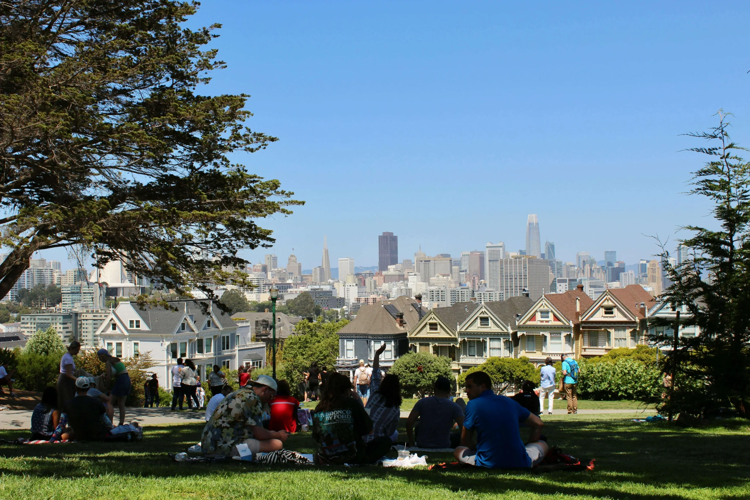 People sitting on the grass having picnics in Alamo Square Park, with the Painted Ladies houses in front and the San Francisco downtown skyline in the background under a clear blue sky.